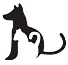 scratch resistant logo