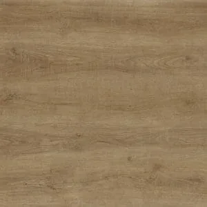 Rock Elm