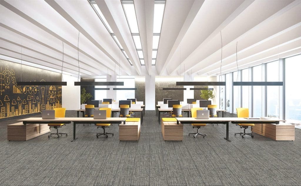 8. Havre MLC2530-002 (SP0874) - Grande