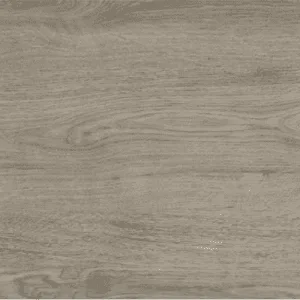 Grey Pine